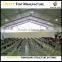 Classic 500 seater wedding tent for wedding event