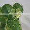 hot sale brand name decorative artificial decoration leaves