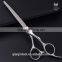 Curved Hair Cutting Scissors Dissecting Scissors Barber Scissors Set