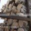 Birch logs, Baltic Birch Logs