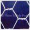Anping boxiang supply hexagonal wire mesh