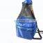 2016 new style Insulated refrigerated picnic mesh cooler bag