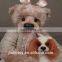 High quality Teddy bear with T-shirt and jeans ,Unique and speical teddy bear .customized stuffed toy