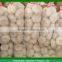 Chinese 2016 Fresh Garlic Price Purple/Red/Pure White Garlic