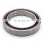 VEB 50 /NS 7CE3 High Precision Bearing Angular Contact Ceramic Ball Bearing 71910 ACE/HCP4A