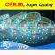 Quality Assurance fashionable led strip lighting 12v/24v