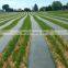 China Factory Manufacture Landscape Fabric Green Ground Cover Plastic Mulch Film