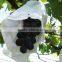 Customized printed fruit protection bag for grape