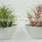 Artificial grass bonsai for Decoration