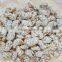 Vietnam sesame coated cashew with good quality and best price
