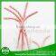 wholesale color flexible paper straws party straw