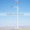 Hot selling outdoor led solar light with hybrid solar wind power generator