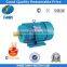 Most Sellable Y Induction Motor 100% Delivery On Time Rate