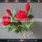 pink decoration flowers single roses