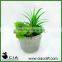 Mini Artificial Potted Echeveria Plant in Round Concrete Pot for Table Plants