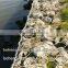 Hot dipped galvanized gabion box