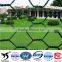 Electro Galvanized Hex Wire Netting