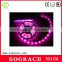 High quality 5050 rgb dream color 6803 ic led flexible neon strip light wholesale