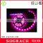 High quality 5050 rgb dream color 6803 ic led flexible neon strip light wholesale