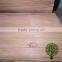 HOT SALE ! Burckella Veneer Keruing Veneer for Door Skin Good Price