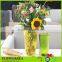 2016 Hot Selling Different Size Colored Clear Glass Vases Flower for Home Decoration