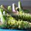 wasabi mayonnaise years's supplier