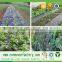 weed control fabric/weed mat/polypropylene weed control mat