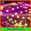 DC5V RGB 60LEDs/m 60pixels/m original Taiwan APA102 LED pixel strip
