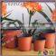plastic blister garden soft flower pot
