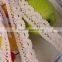2016 Spring & Summer Cotton Lace /crochet Lace/lace Trimmings250202