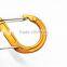 Free Sample Aluminium Carabiner With Keychain