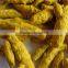 Nizamabad turmeric