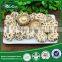 2015 HOT Cheap Market Prices for Mushroom for Sale