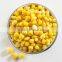 Canne Sweet Kernel Corn With Cheap Price