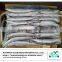 High Quality Fresh Frozen Pacific Saury