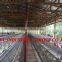 TAIYU Layout Design for Chicken Coop