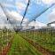 Cheap Price HDPE Material Anti Hail Net Orchard Hail Netting