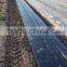 Hot sale push seeder for vegetable