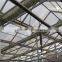 Customized Cheap Commercial Horticultural Green House