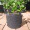 Non-Woven Fabric hydroponics felt plant pot