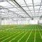 Galvanized steel structure pc sheet cover used commercial greenhouses