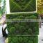SJ1411421 Decorative Wall background Moss turf Synthetic lawn decorations