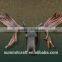 Custom 3d animal resin deer head for sale