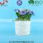 Glazed White Ceramic Succulent Pot, Dolomite Plant Pot