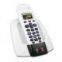 DECT Phone