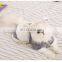 cute cat clothes pet dog cat thickened warm winter coat cute rabbit coat with ear