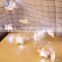 Lovely Star Model Rattan Woven Fairy String Light For Home Decoration
