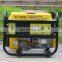 Bison Power Petrol Generator 12v dc 1.0kw 900w 850w 800w Portable Petrol Gasoline Generator