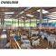 Large span steel structure fabrication goat shed