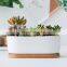 New Product Pots & Planters Groot Decorative Rectangle Metal Modern Garden Cheap Ceramic Succulent Natural Flower Pot